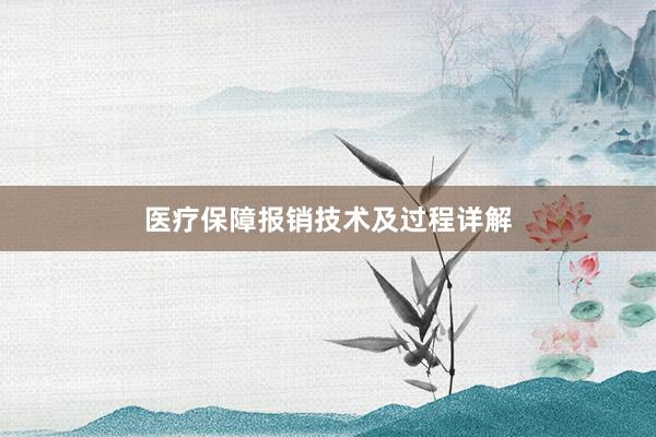 医疗保障报销技术及过程详解