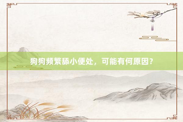 狗狗频繁舔小便处，可能有何原因？