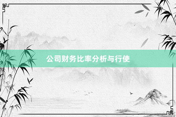 公司财务比率分析与行使
