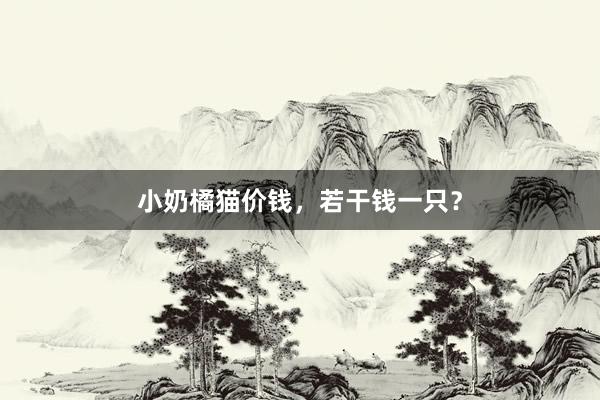 小奶橘猫价钱，若干钱一只？